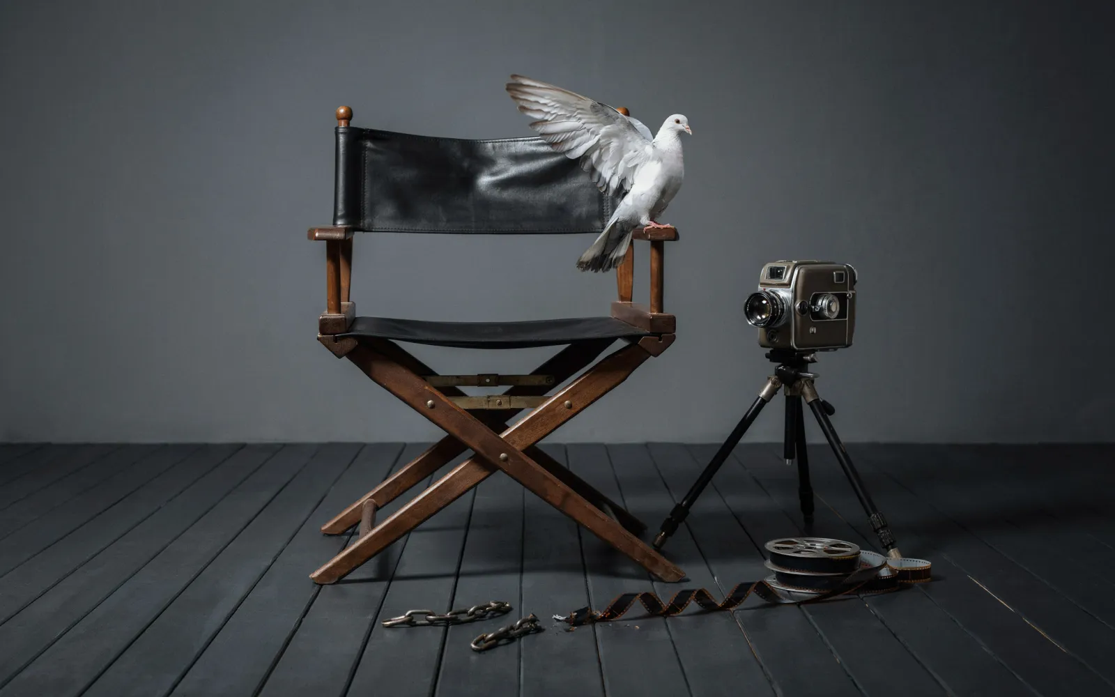 Creative Community for Peace Defends Israeli Director Nadav Lapid Against BDS Boycott